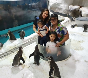 73316715_1431115863707725_1021134418858737664_o